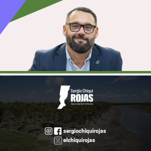 Banner Web dip. Rojas