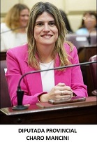 diputada charo mancini