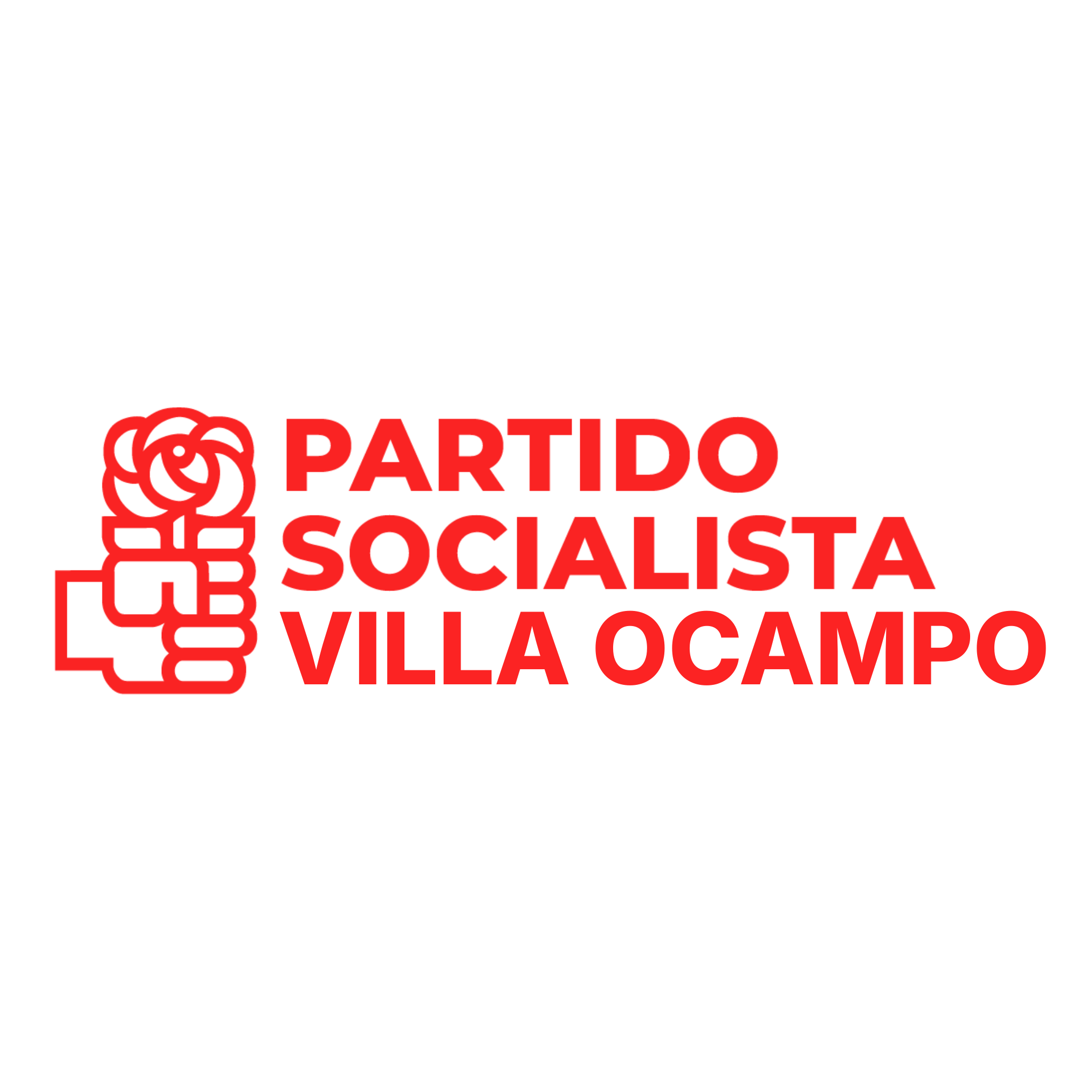pPARTIDO SOCIALISTA